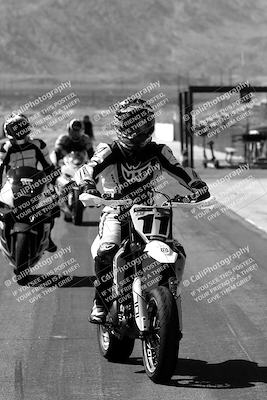 media/Mar-08-2025-TrackXperience (Sat) [[277b597a28]]/1-Around the Pits - Pre Grid/